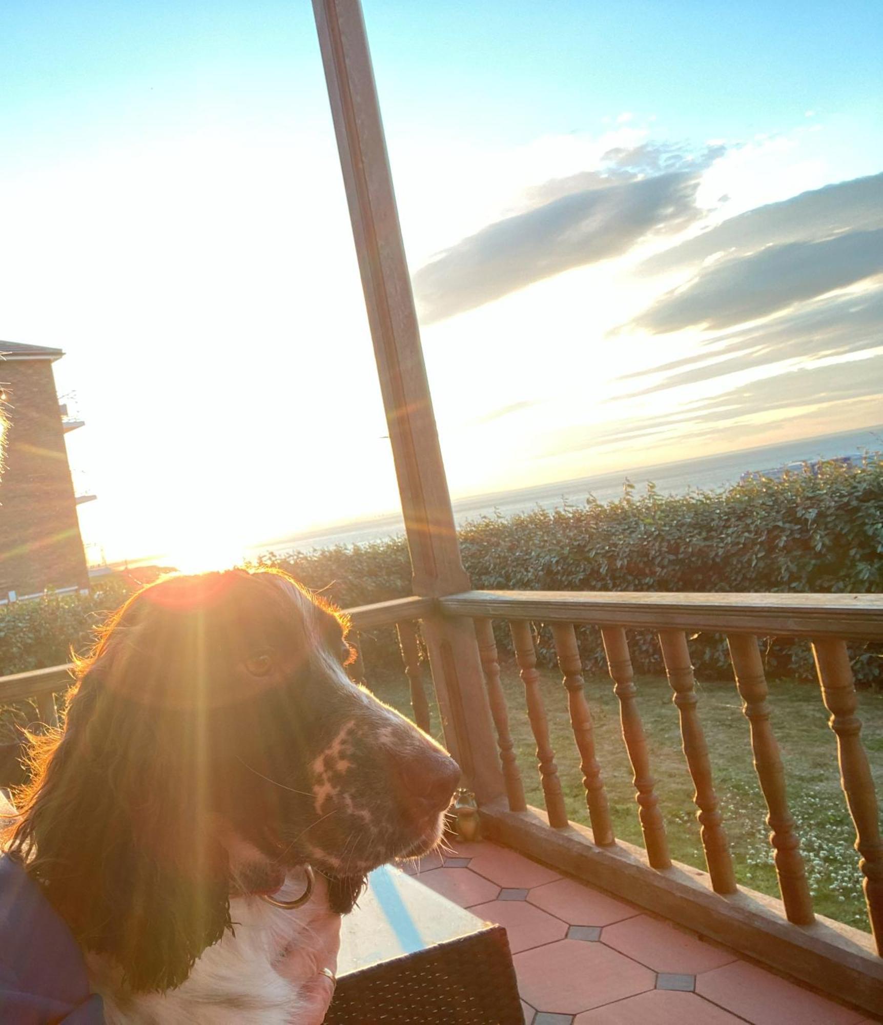 Sea Forever Oceanfront Home Perfectly Saltburn 외부 사진